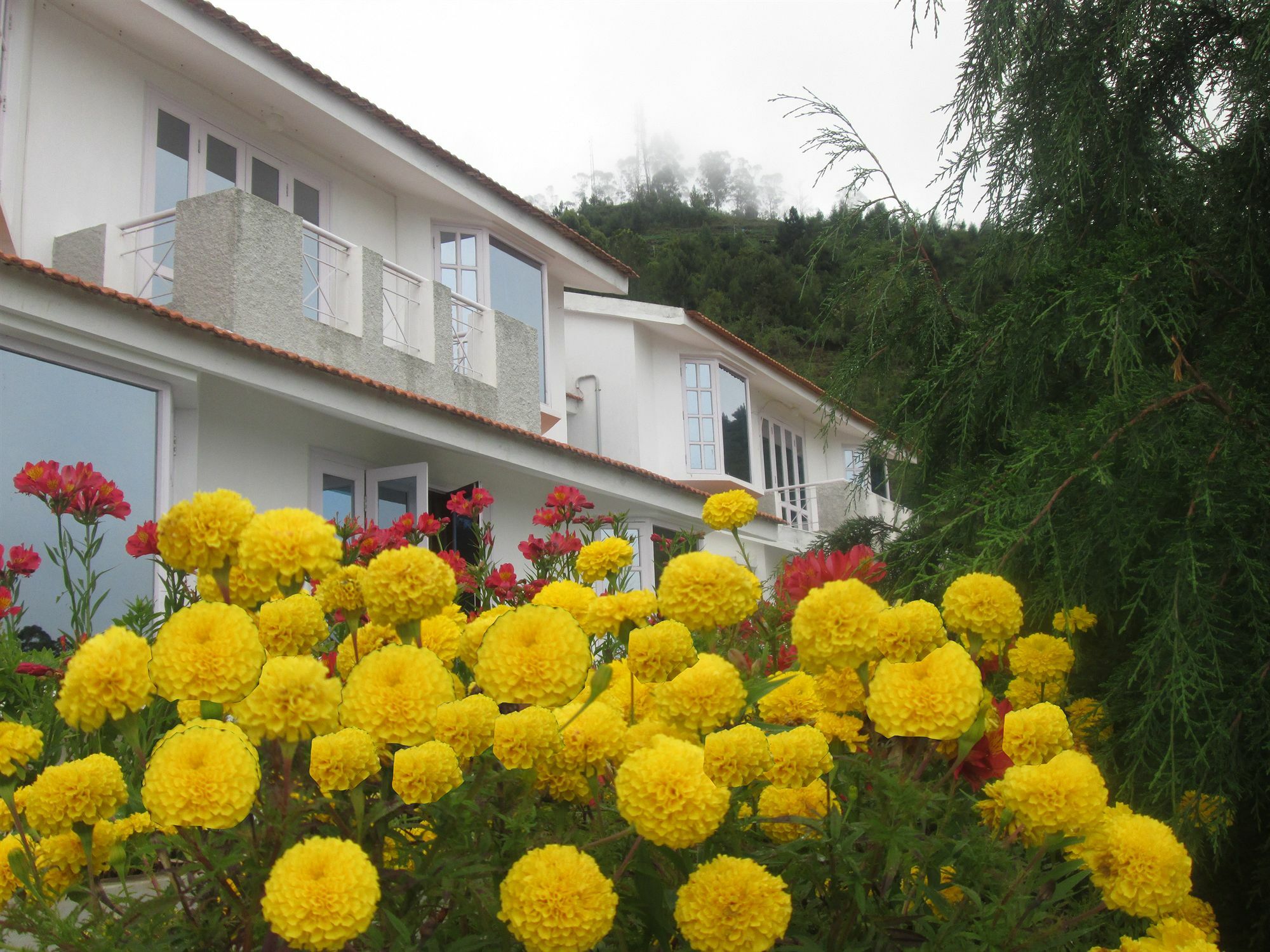 Country Club Valley Vista Kodaikanal Εξωτερικό φωτογραφία